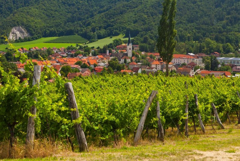 Grad Konjice (Gonobitz), Zgornja Pristava, Slovenske Konjice, Slovenia, Slovenia